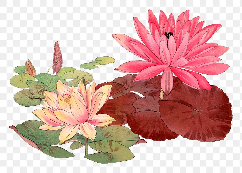 Lotus sticker png, Japanese ukiyo e art, transparent background