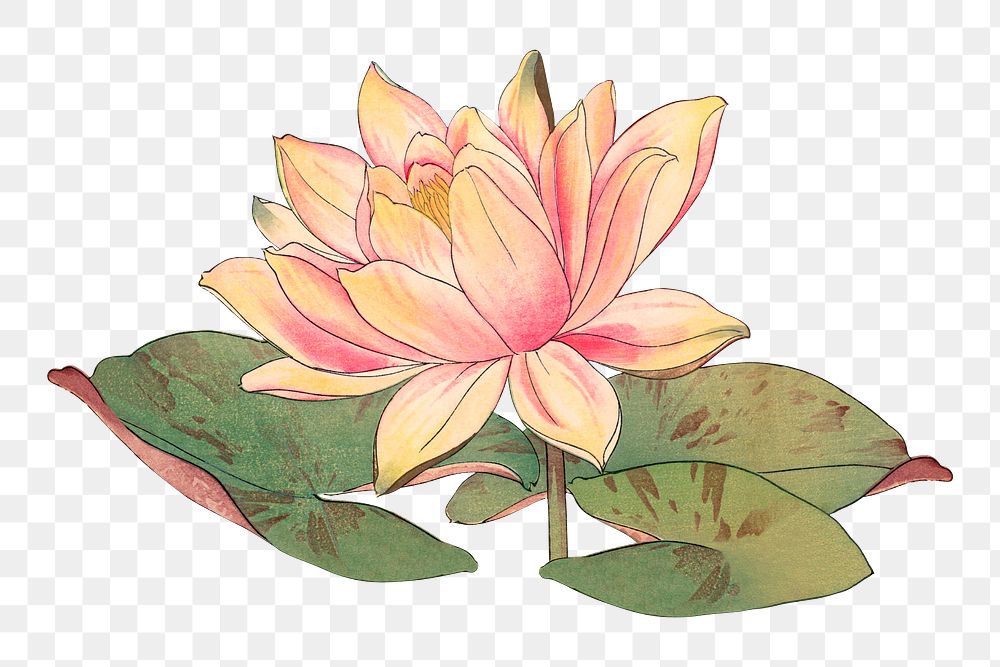 Lotus sticker png, Japanese ukiyo e art, transparent background