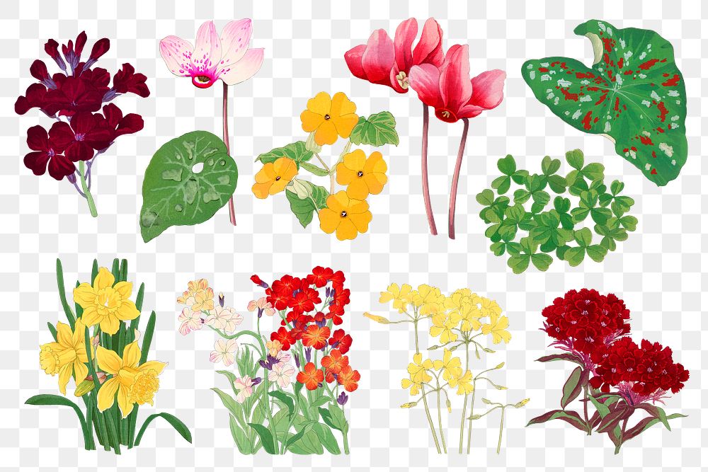 Flower png sticker, floral ukiyo-e woodblock art, transparent background collection