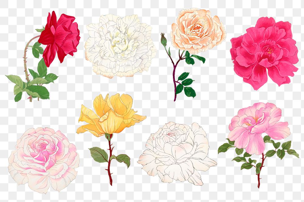 Rose png sticker, floral ukiyo-e woodblock art, transparent background collection