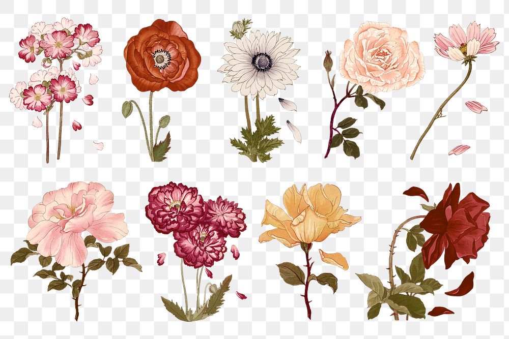 Rose png sticker, floral ukiyo-e woodblock art, transparent background set