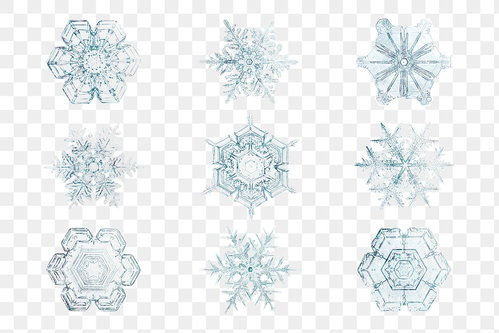 Winter snowflake transparent set Christmas ornament macro photography, remix of photography by Wilson Bentley
