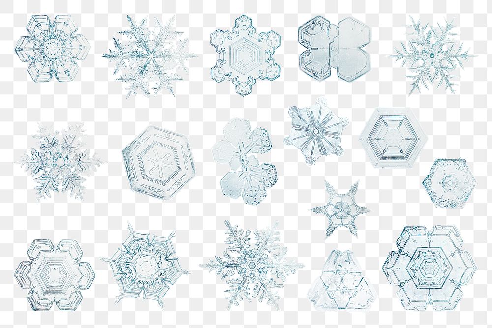 Icy snowflake png set macro photography, remix of art by Wilson Bentley