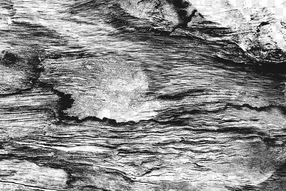 Rough wood texture png transparent background