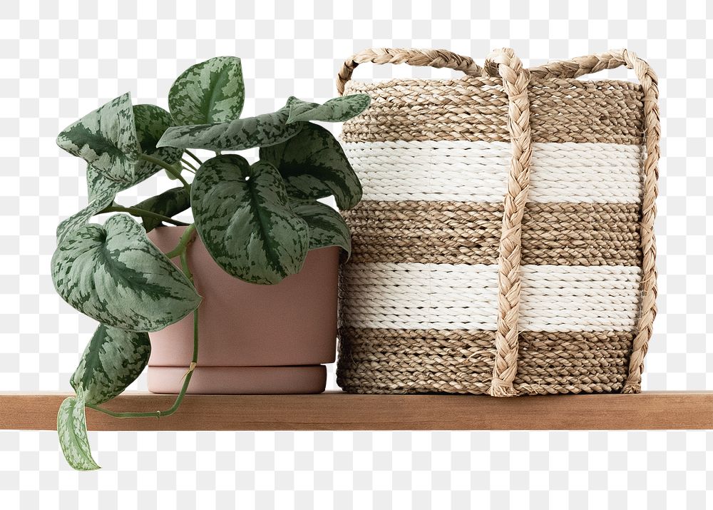 Basket and plant png mockup on wooden shelf