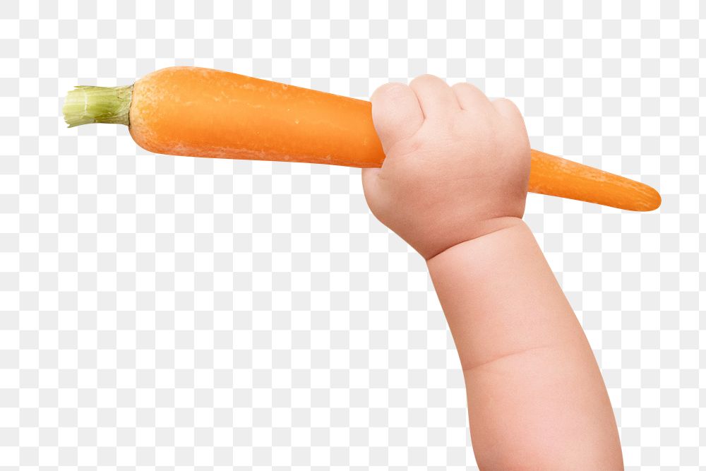 Baby hands png cut out, holding a carrot