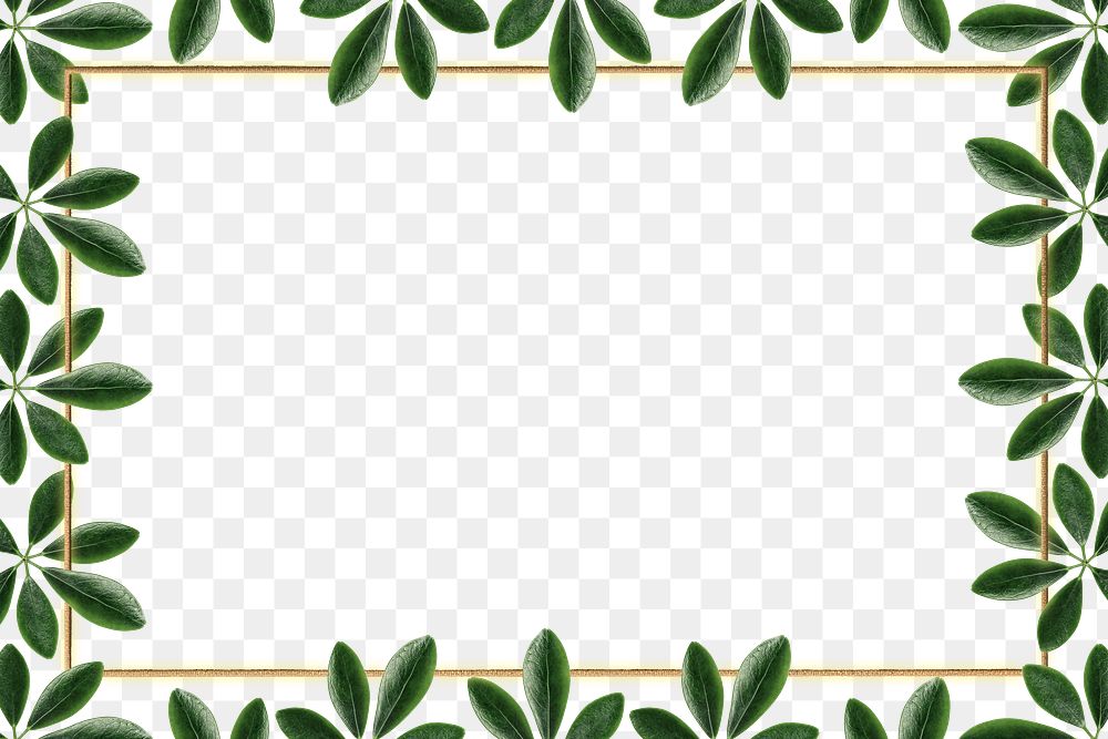 Green leaves with rectangle frame design element