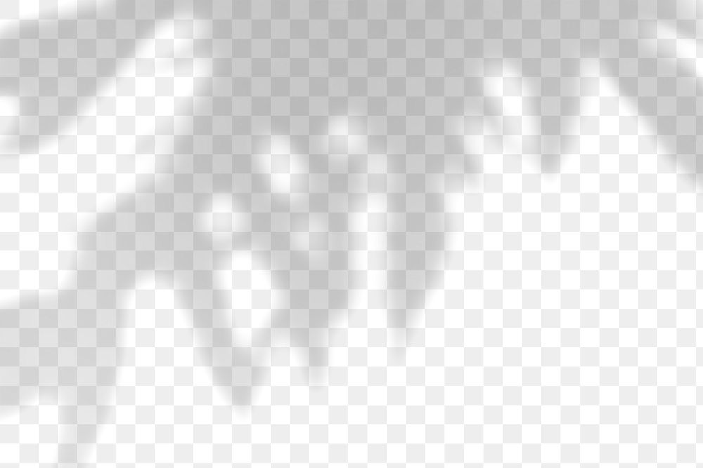 Shadow of leaves design element
