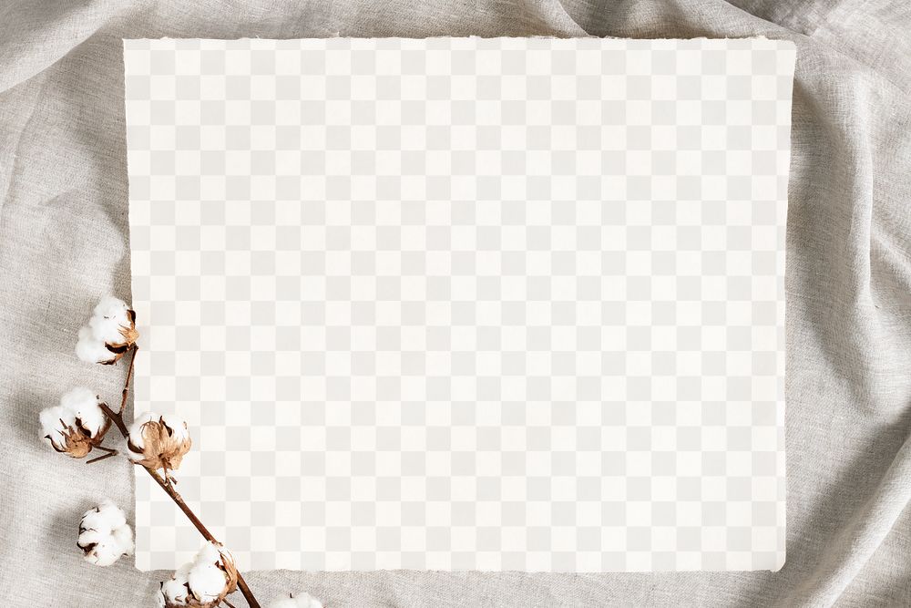 Cotton flower branch on a paper mockup over a creased gray fabric background