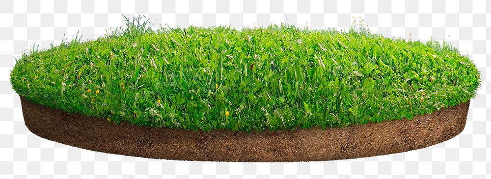 3D grass ground png sticker on transparent background
