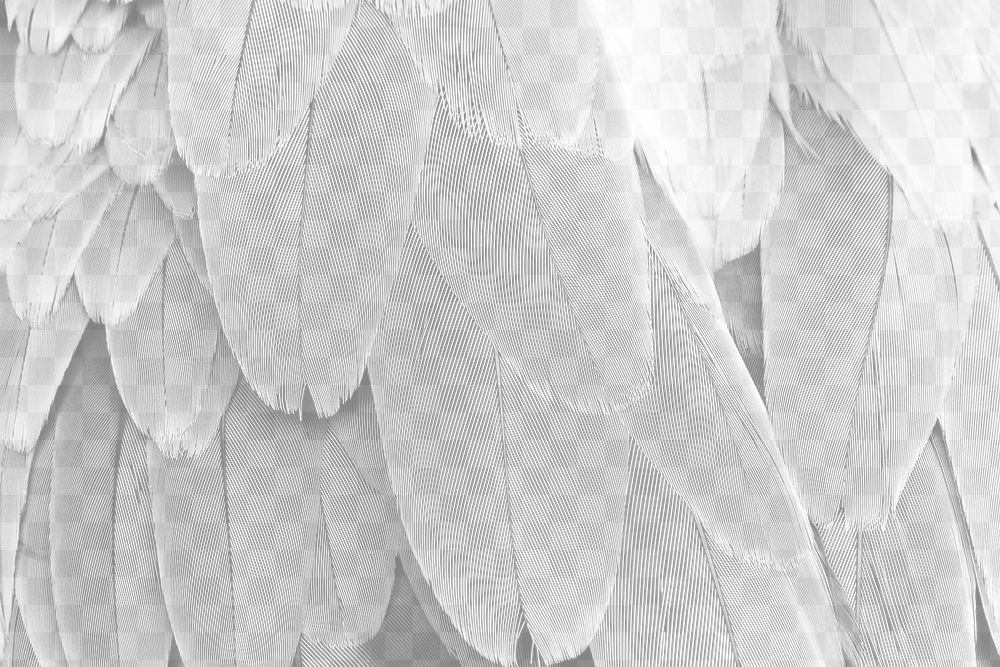 Parrot feathers png overlay, abstract design on transparent background 