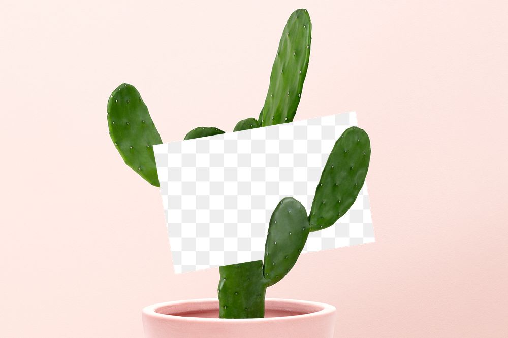 Business card mockup transparent on cactus 