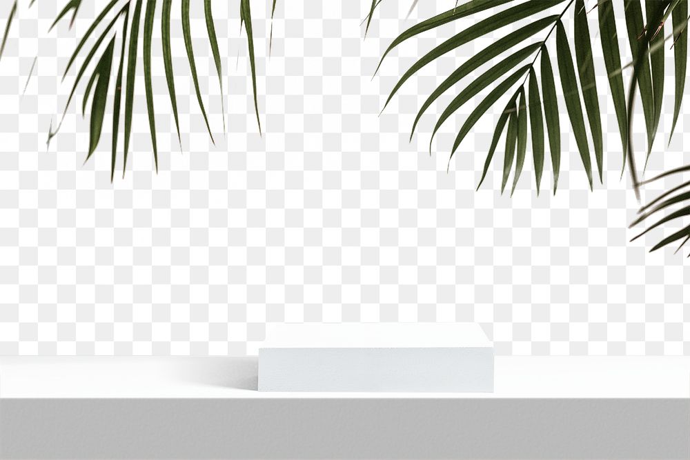 White png product display with palm leaves