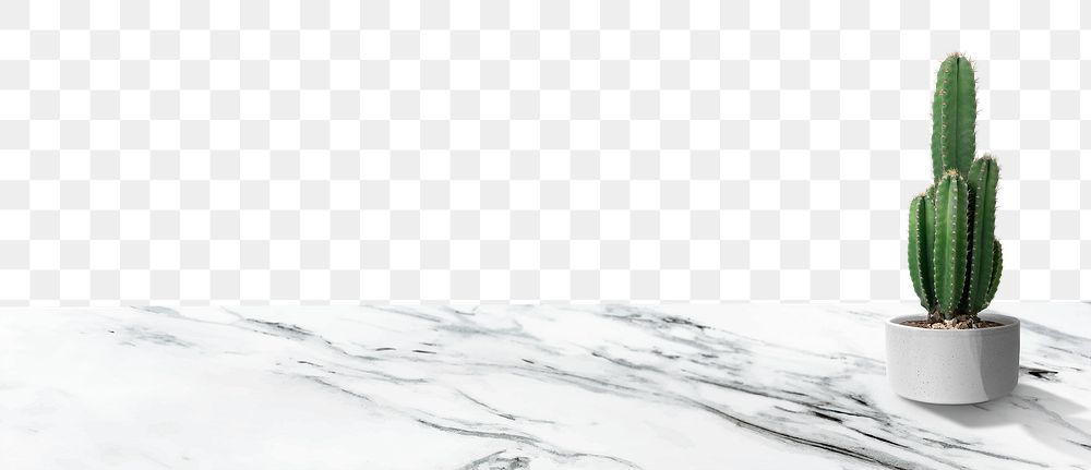 White marble png border with cactus