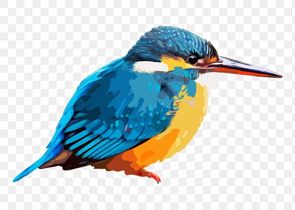 River Kingfisher bird png sticker, transparent background