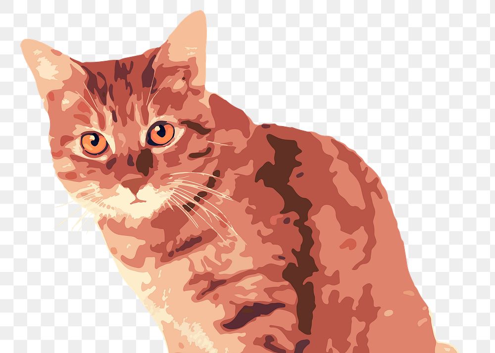 Tabby cat png sticker, transparent background