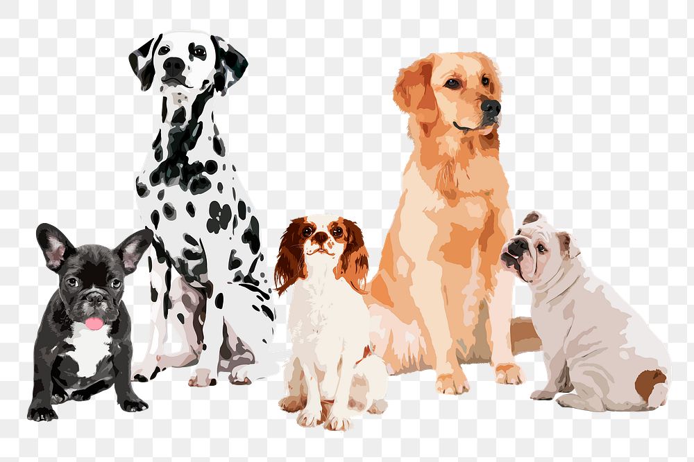 Cute dogs png border sticker, transparent background