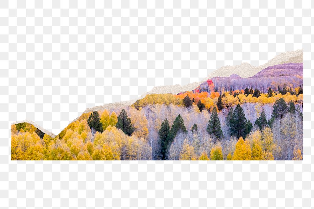 Torn paper png sticker, autumn forest, transparent background