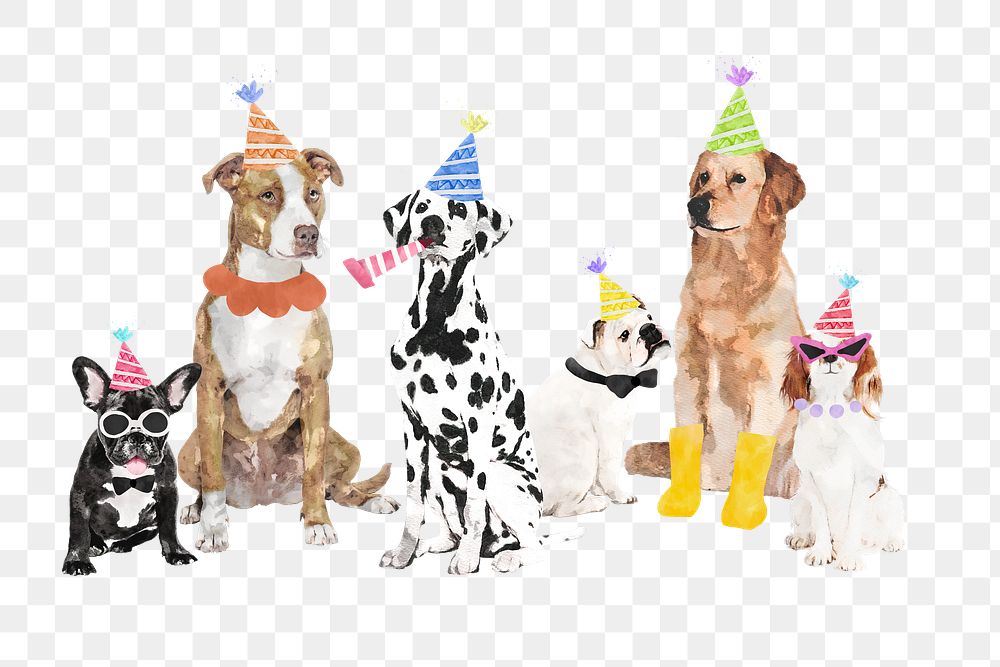Watercolor dog png illustration set on transparent background, different breeds with party hats 