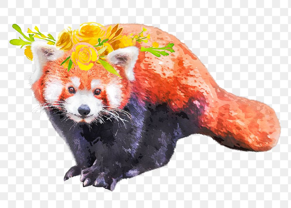 Red panda wearing wreath png illustration on transparent background in watercolor