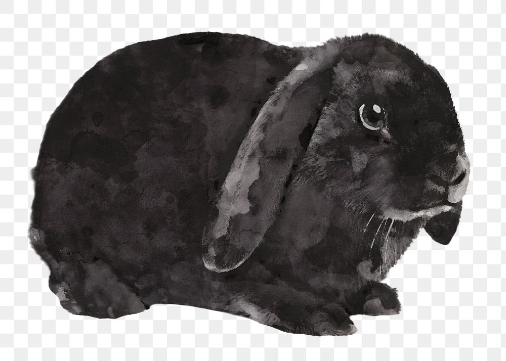 Black rabbit png sticker, watercolor illustration, transparent background