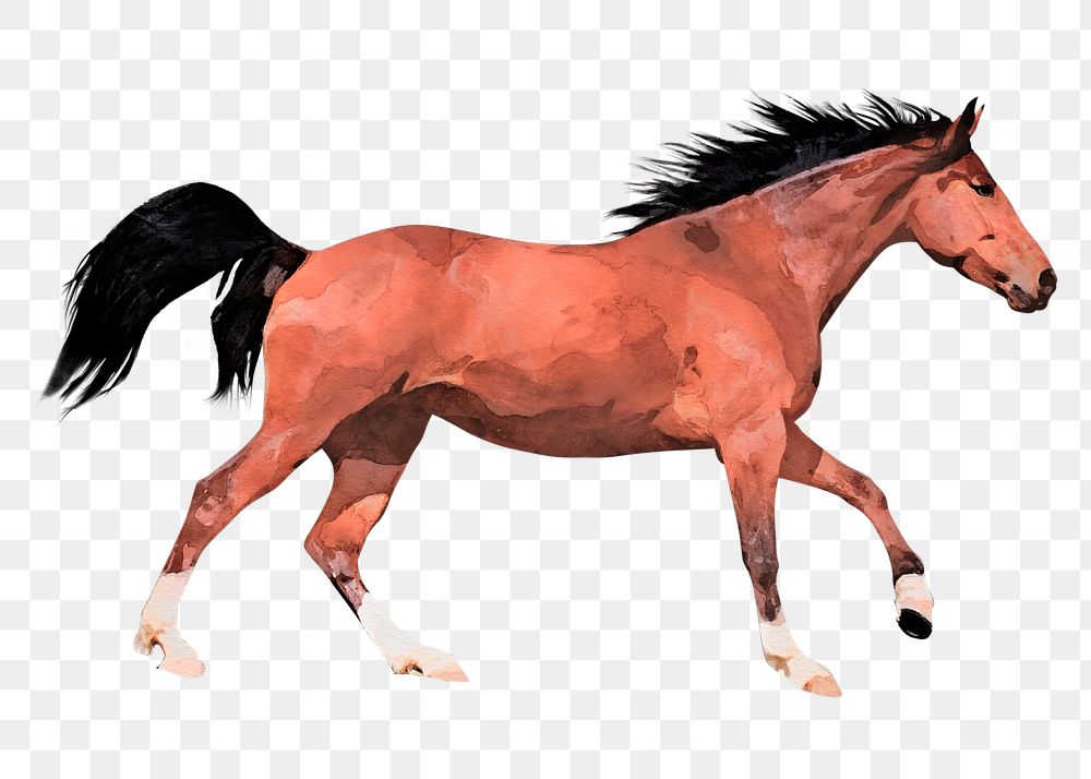 Running horse png sticker, watercolor illustration, transparent background