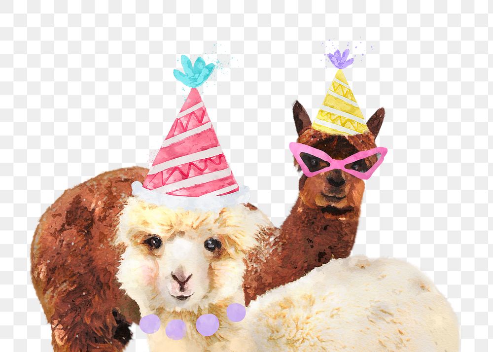 Birthday alpacas png sticker, watercolor illustration, transparent background