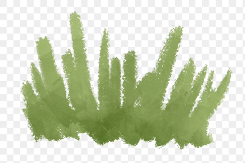 Green grass png sticker, watercolor illustration, transparent background