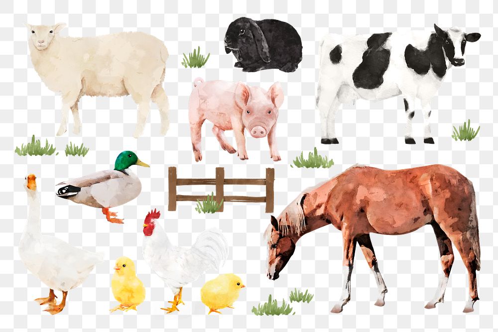 Farm animal png stickers, watercolor illustration set, transparent background