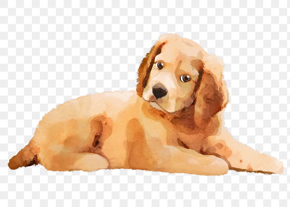 Cute dog png sticker, watercolor illustration, Golden Retriever, transparent background