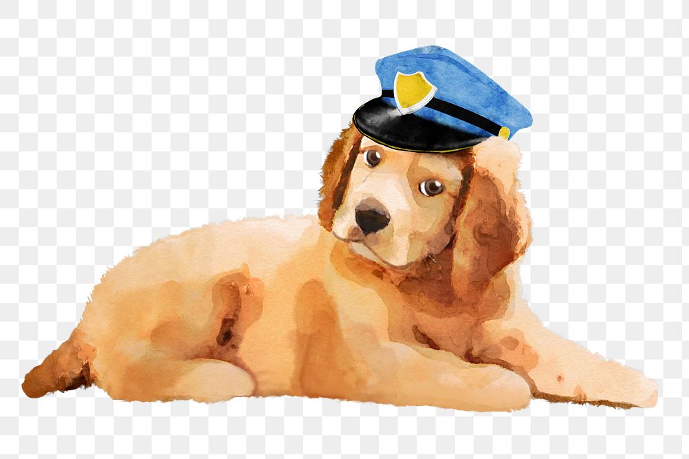 Police dog png sticker, Golden Retriever, transparent background