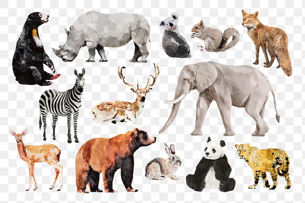 Wildlife animal png stickers, watercolor illustration set, transparent background