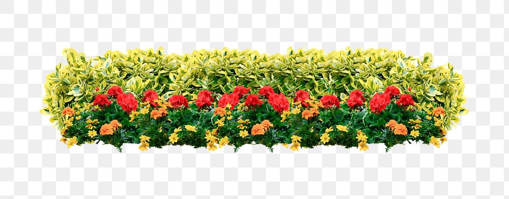 Flower bush png sticker on transparent background