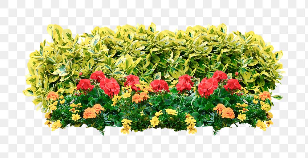 Flower bush png sticker on transparent background