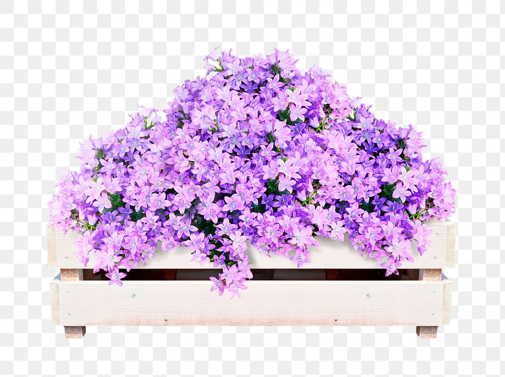 Purple flower bush png sticker on transparent background