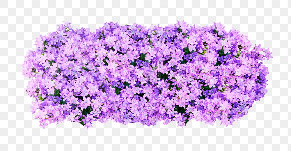 Purple flower bush png sticker on transparent background