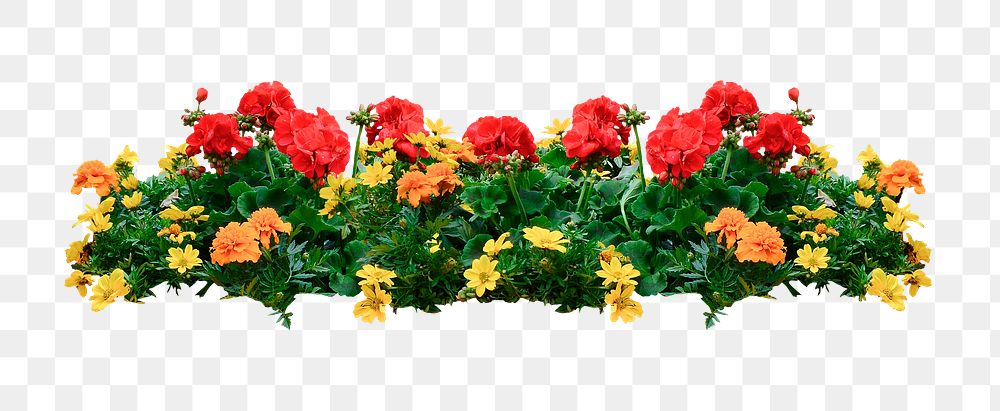 Flower bush png sticker on transparent background