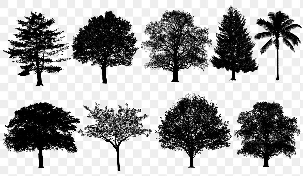 Silhouette tree png stickers set on transparent background