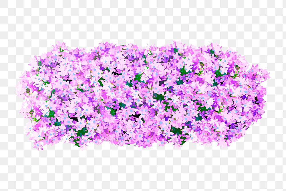 Flower bush png sticker on transparent background