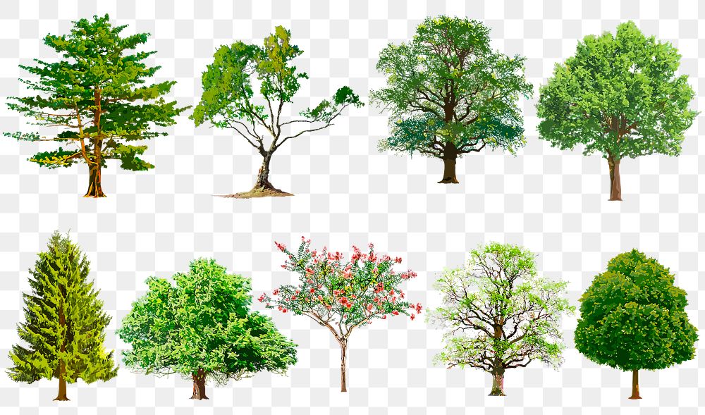 Png tree stickers, watercolor illustration set on transparent background
