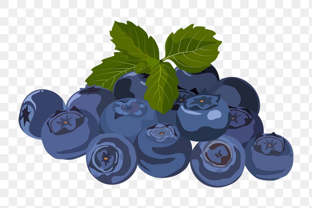Blueberry png sticker, fruit illustration on transparent background