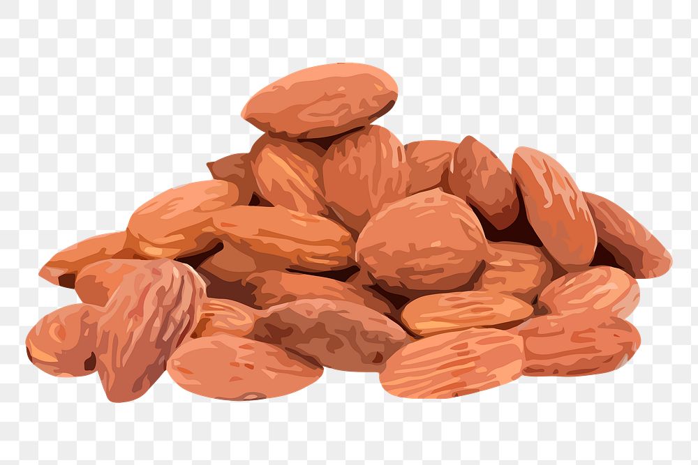 Almond png sticker, nut illustration on transparent background