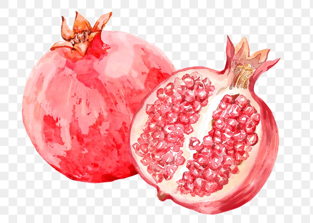 Pomegranate png clipart, fruit sticker on transparent background