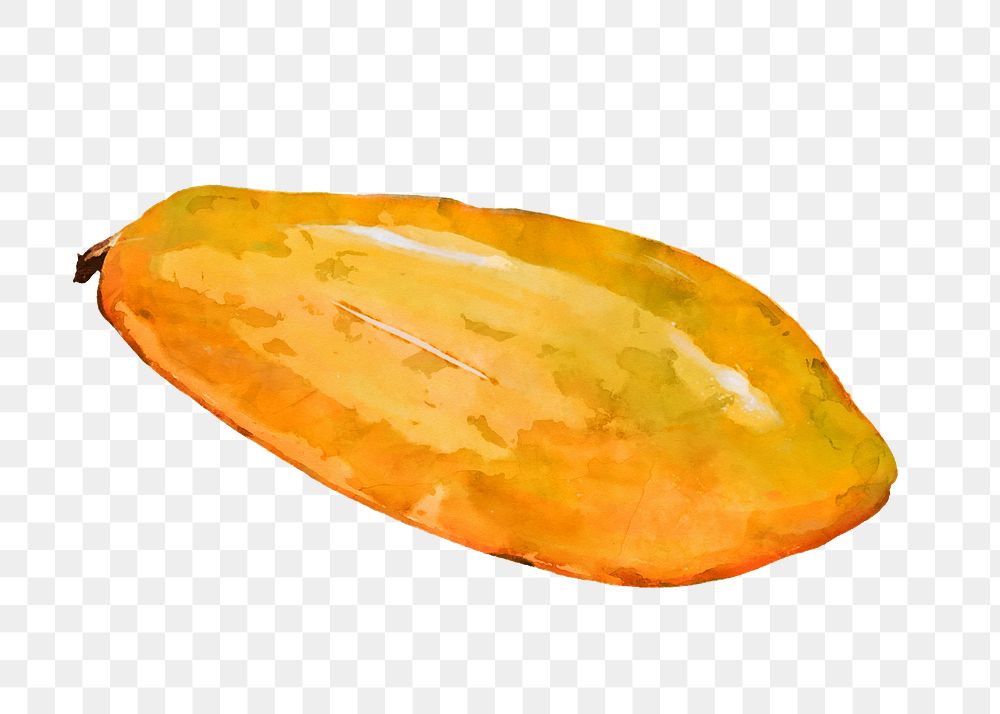 Papaya png clipart, fruit drawing on transparent background