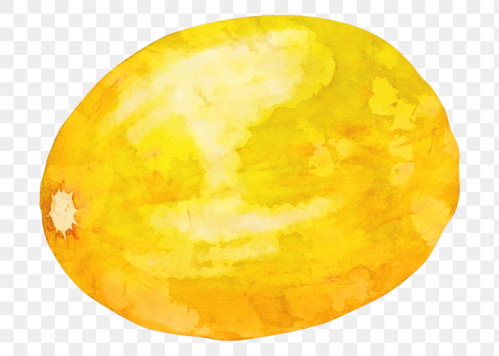 Yellow melon png sticker, watercolor fruit on transparent background
