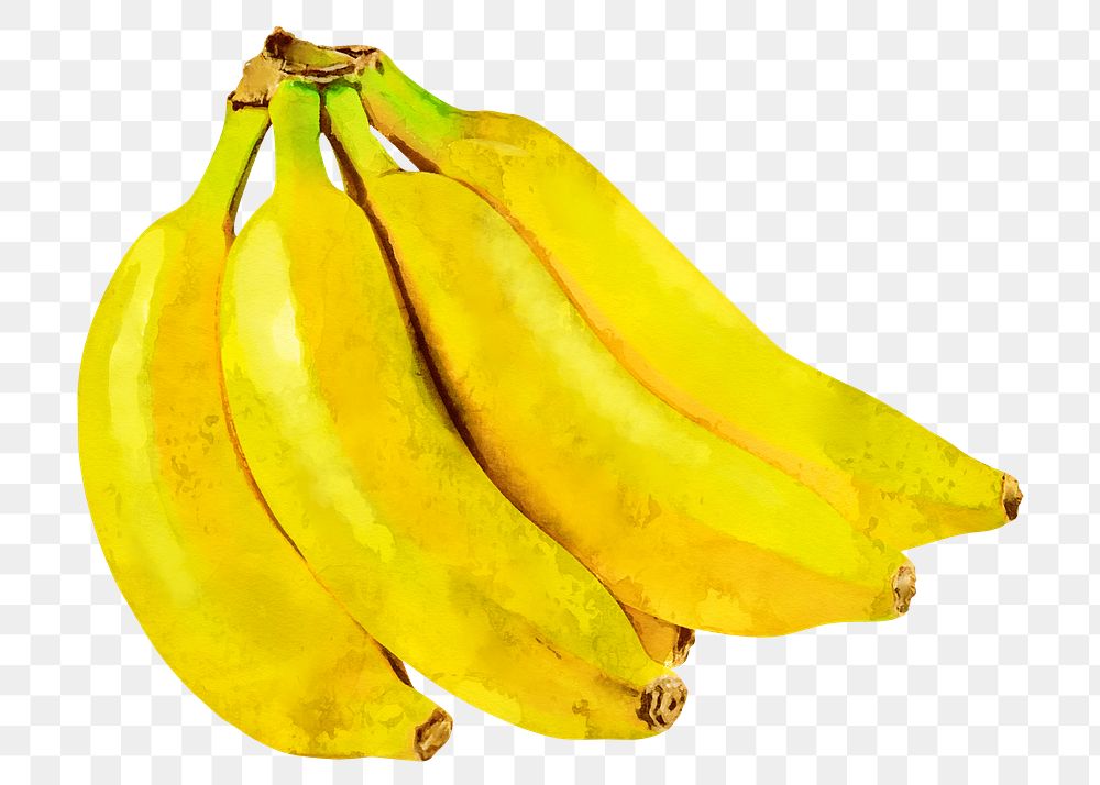 Banana png clipart, fruit drawing on transparent background