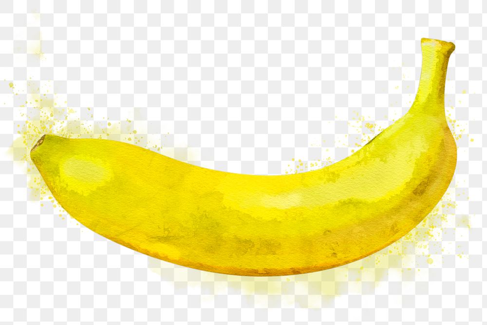 Banana png clipart, fruit drawing on transparent background