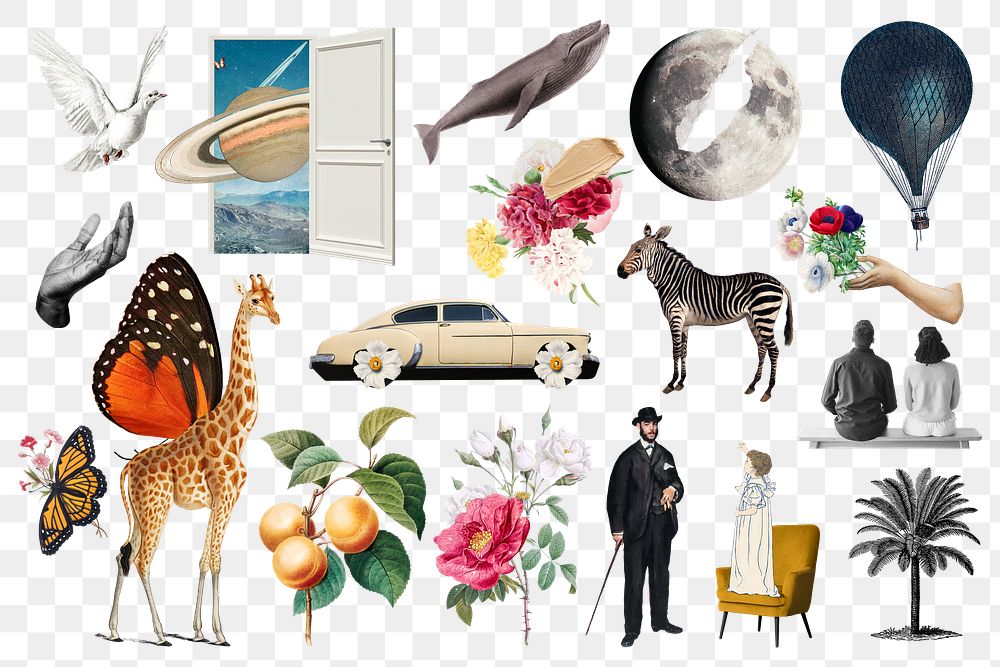 Exotic animals png sticker, aesthetic surreal art set on transparent background
