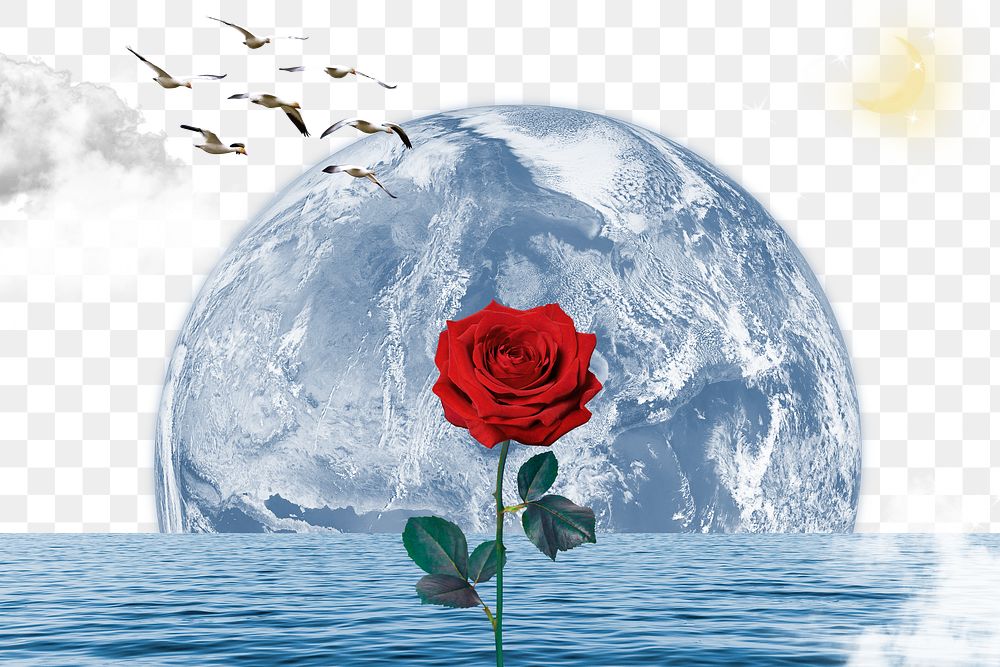 Fantasy ocean rose png, transparent background, nature aesthetic surreal collage