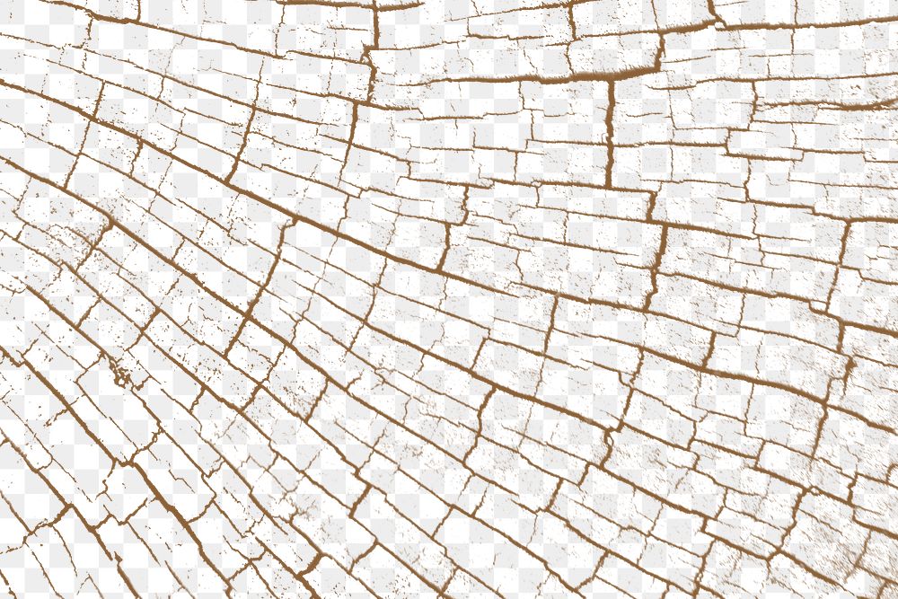 Cracked wood texture png transparent background
